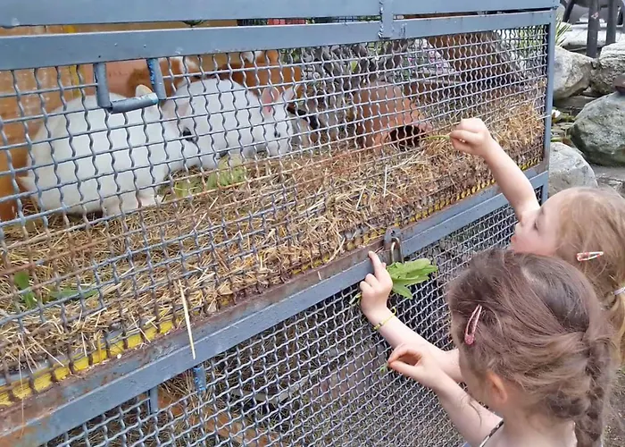 Sangiovese Emiliano דירה