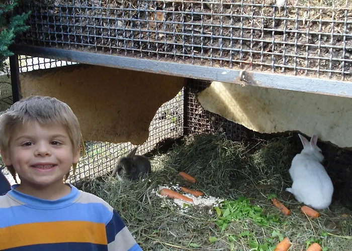 Sangiovese Emiliano *